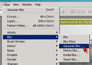 Select the Gaussian Blur Filter
