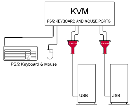 Connect Outputs from KVM to Y-mouse and output of Y-mouse to your USB compatible computer