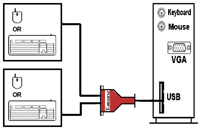 Connect two PS/2 input devices (mouse, keyboard, etc) to the Y-mouse and the Y-mouse to the USB port on your computer